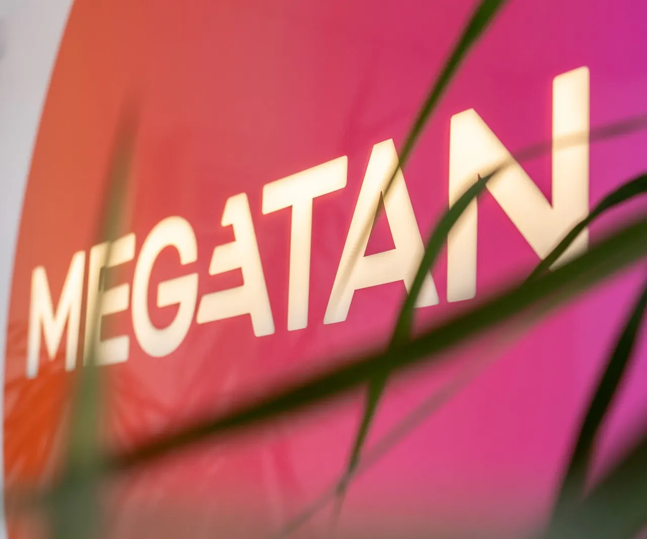 The illuminated MEGATAN sign on the pink wall of our Birmingham studio
